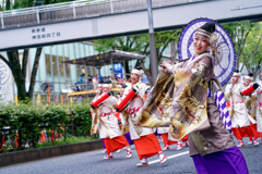 スーパーよさこい2024⑥