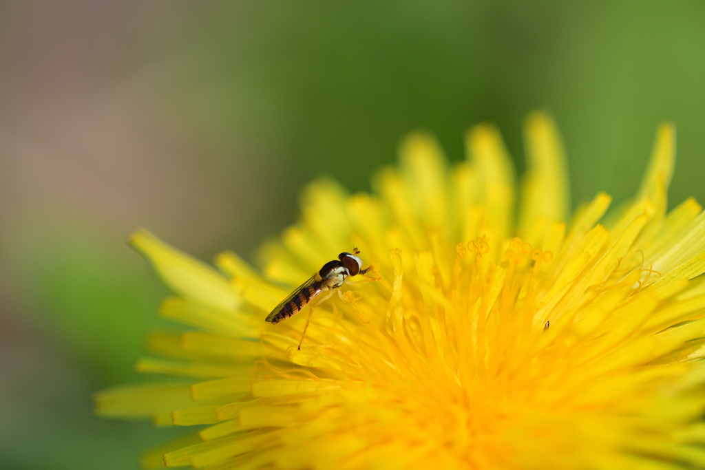 天気がいいなぁ③