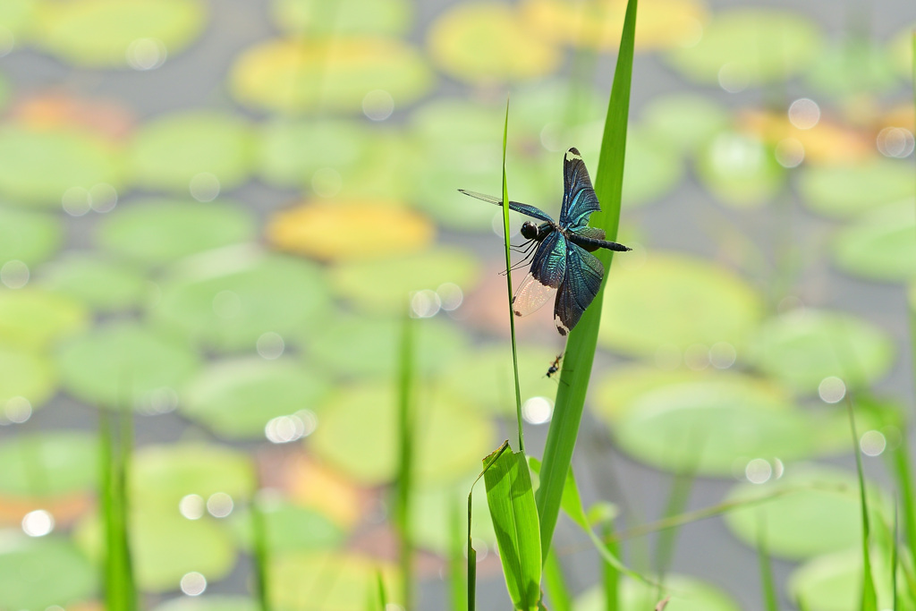 昨年の今頃は⑤