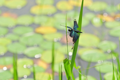 昨年の今頃は⑤