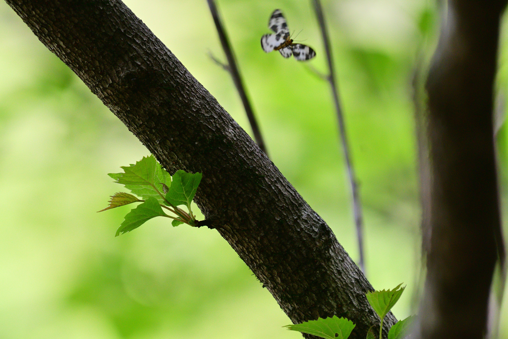 雰囲気だけの④