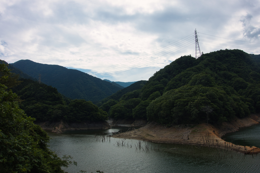 鳥や蝶に出会えた風景