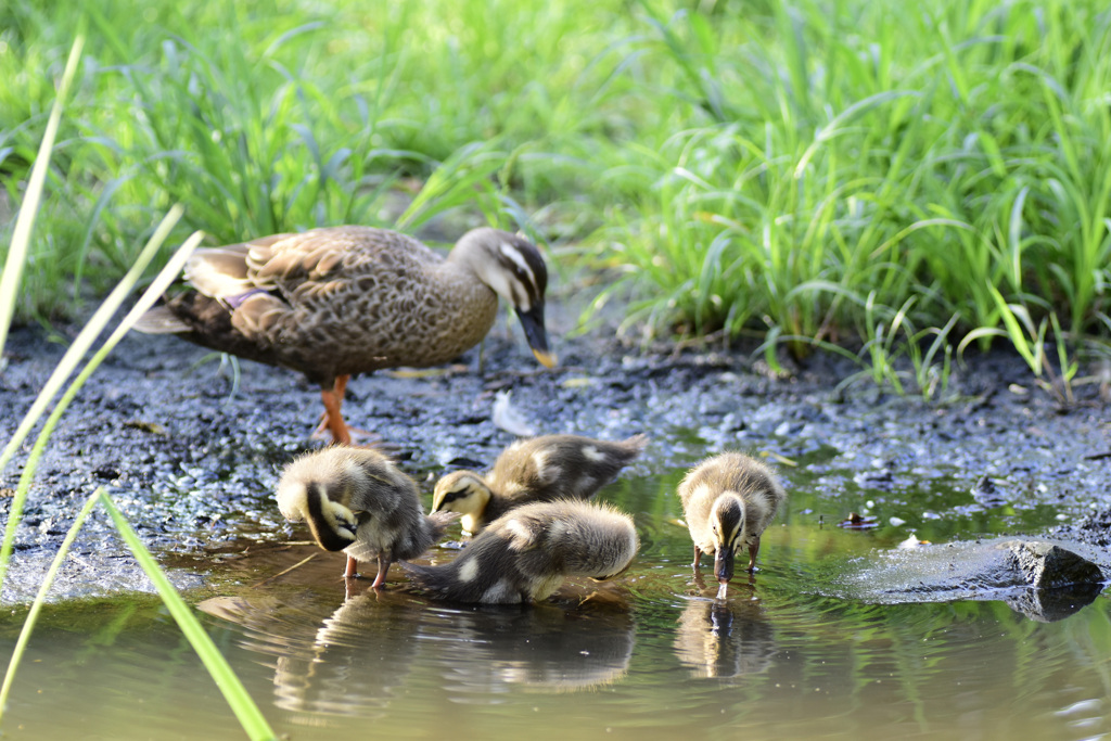 変わらないもの①