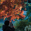 紅葉7