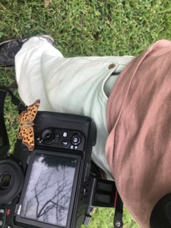 探しても見つからない