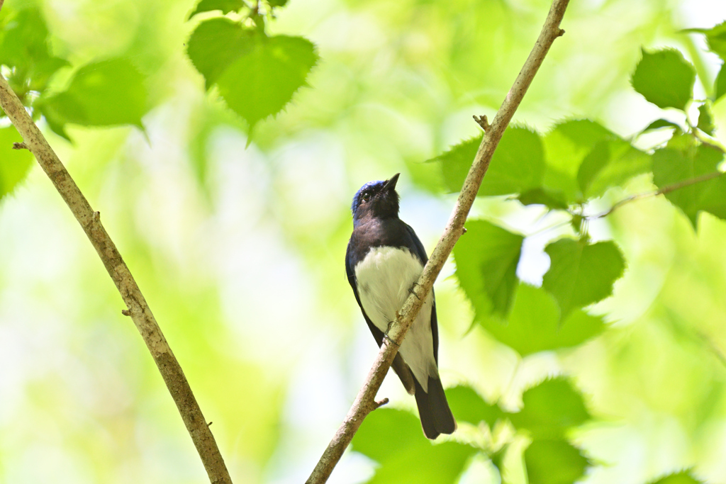 興奮した2018年①