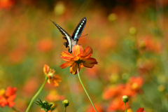 タムキューの思い出①