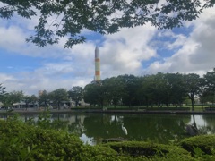 サギ&ロケット