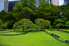 浜離宮に行ってきた①