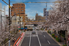 花46