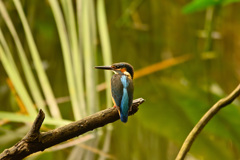 近づく楽しさを教えてくれた