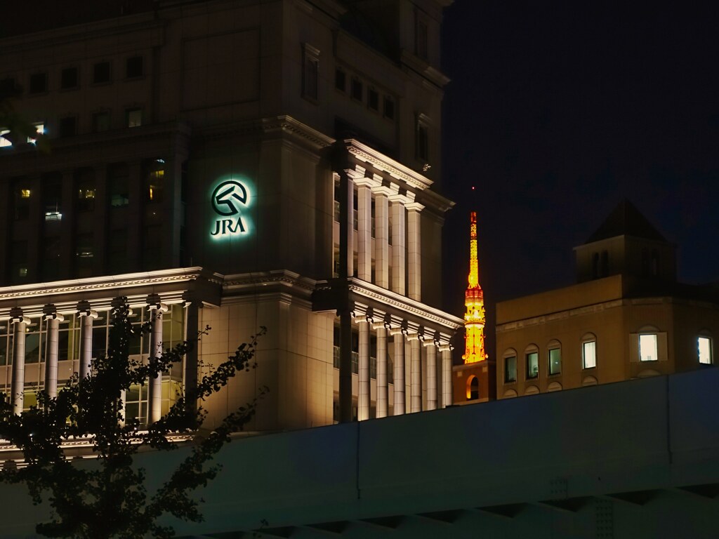 夜の遊園地？