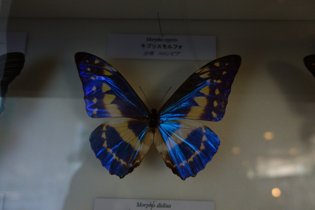 雰囲気だけの③