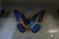 雰囲気だけの③