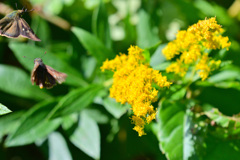 スランプの秋②