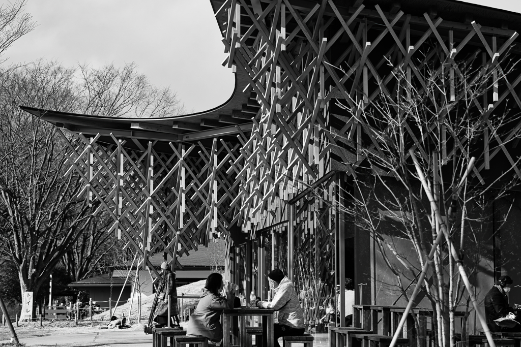 鳥も迷いそうな止まり木