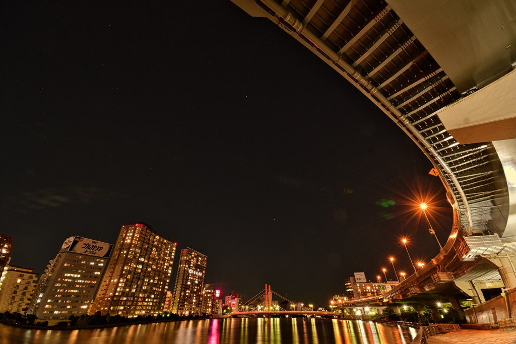 隅田川テラスから