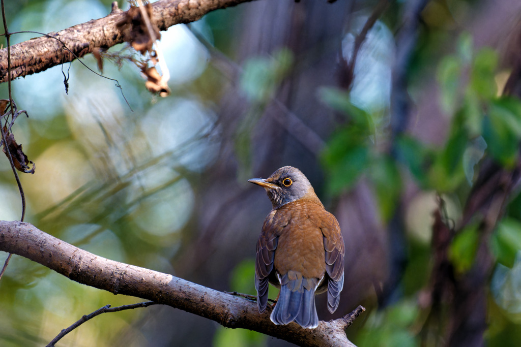 ビックリした？