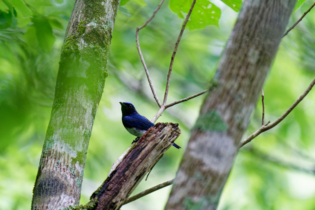 今シーズン最後にしよう①