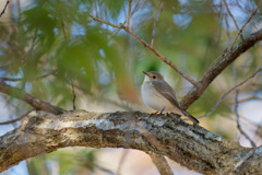 今年もよろしくお願いいたします