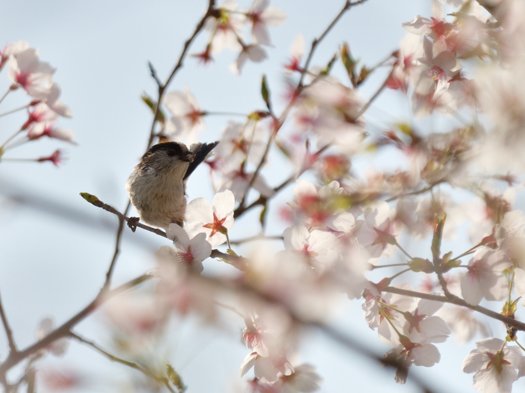 2年前の今頃は①