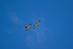 青空が恋しい