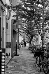 B/W