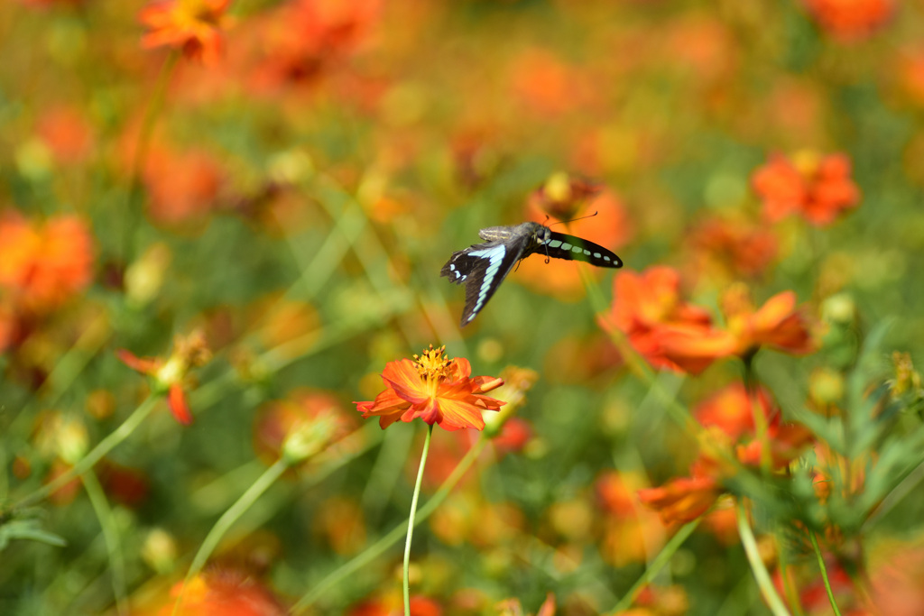 変わってないなぁ②
