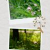 June