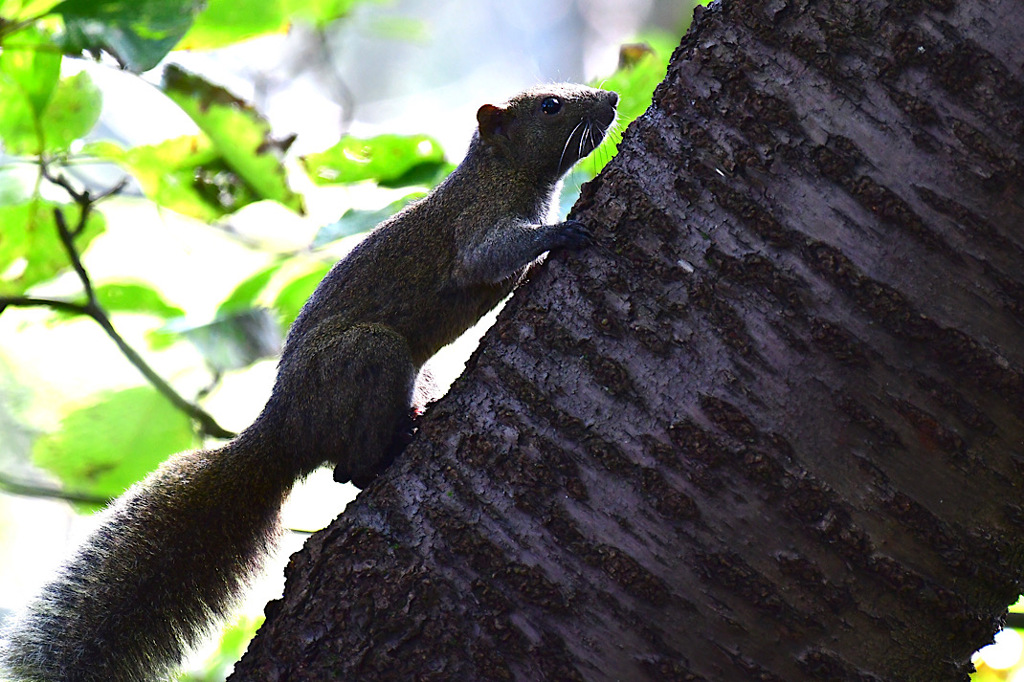 自分でも何撮ってるんだろうと④