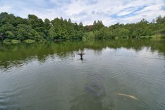 もしかして恋かも