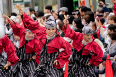 東京よさこい7