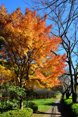 鳥の撮れ高ゼロ①