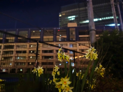 反射する夜の街88