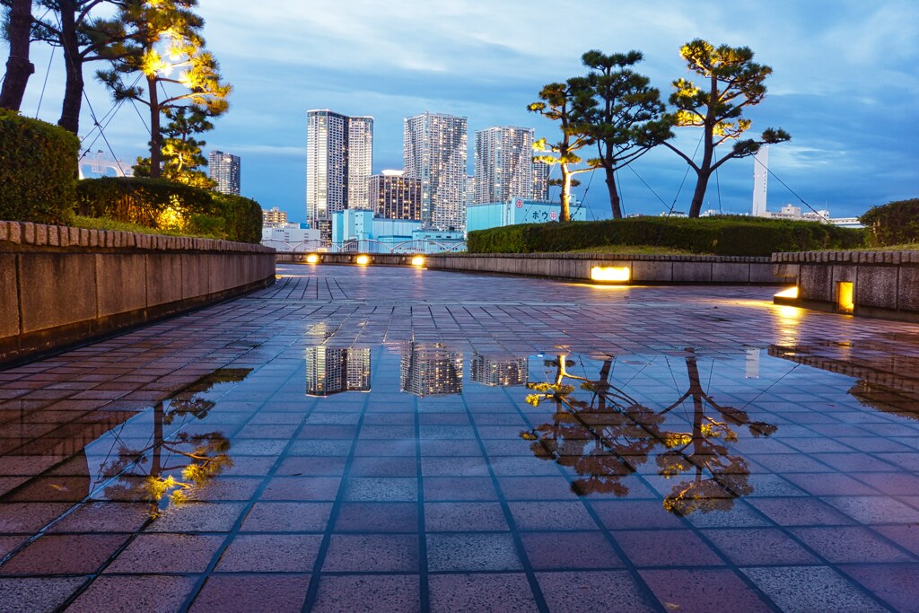 水溜りの風景①