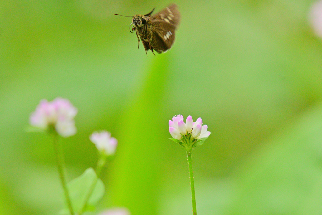 ギリギリフレームに収まってくれた君