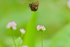 ギリギリフレームに収まってくれた君