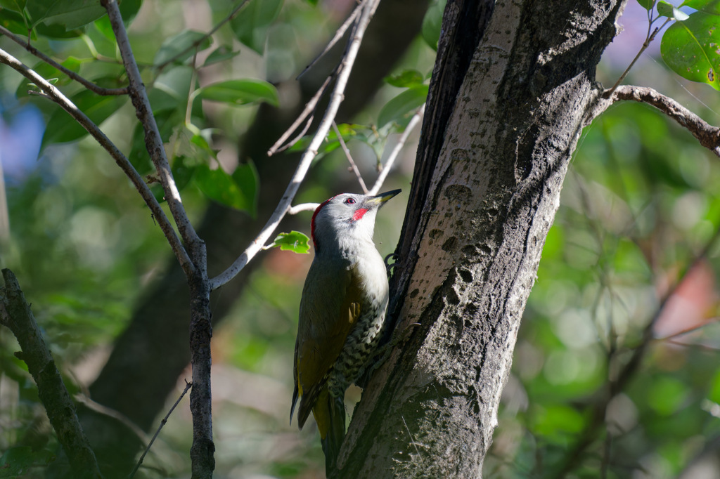 今年もお世話になりました②