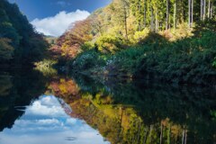 健康診断のち紅葉巡り①