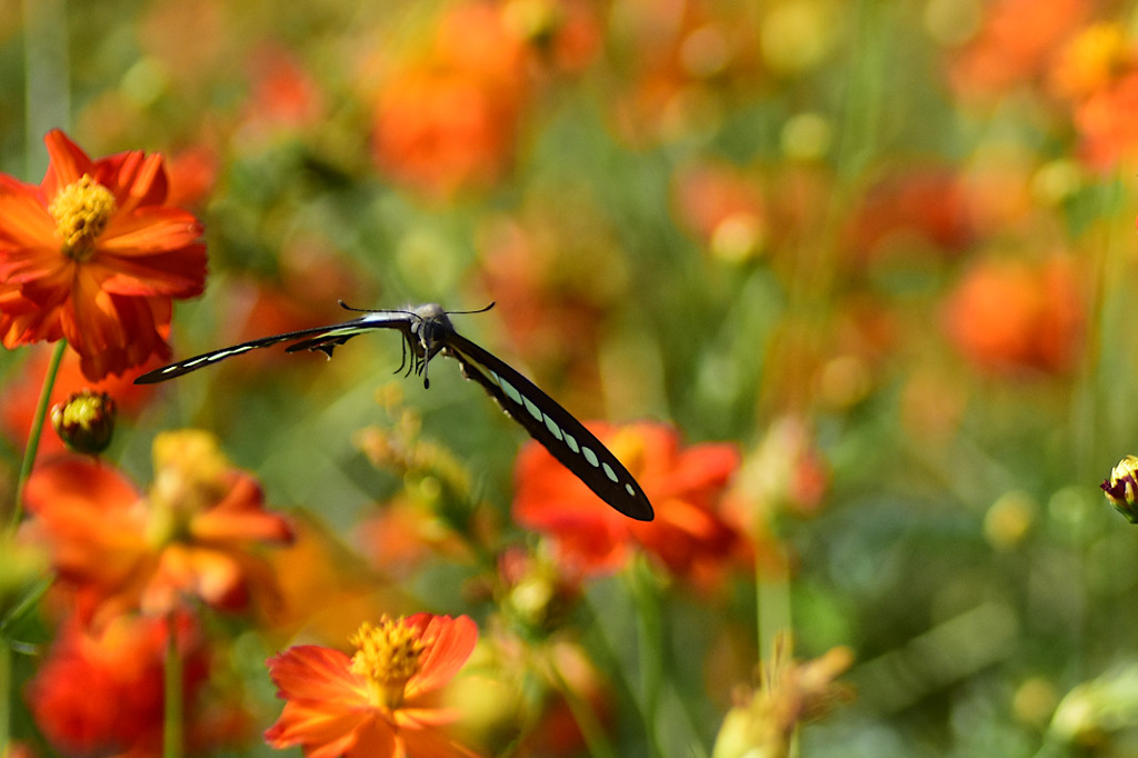 タムキューの思い出④