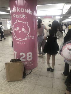 人気者