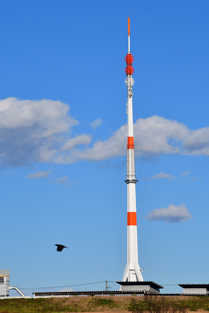 ゆるく行こうっと