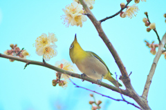 春がそこまで