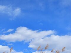 もうすぐ春ですね