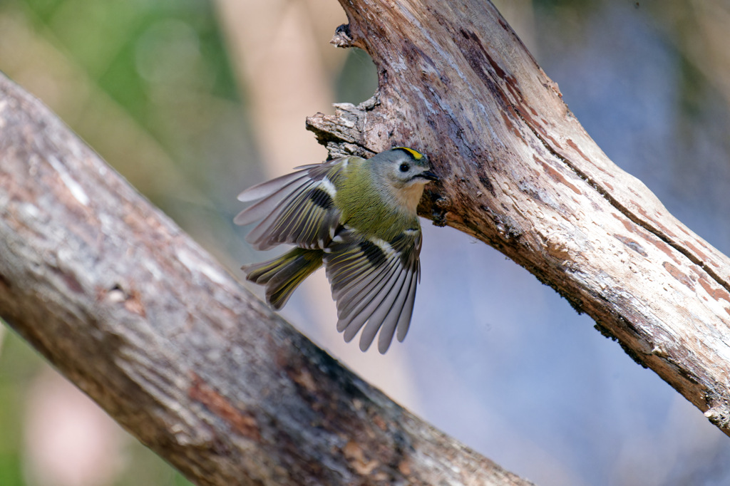 そんな場所まで探されたら