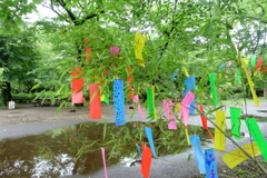 梅雨の合間に③