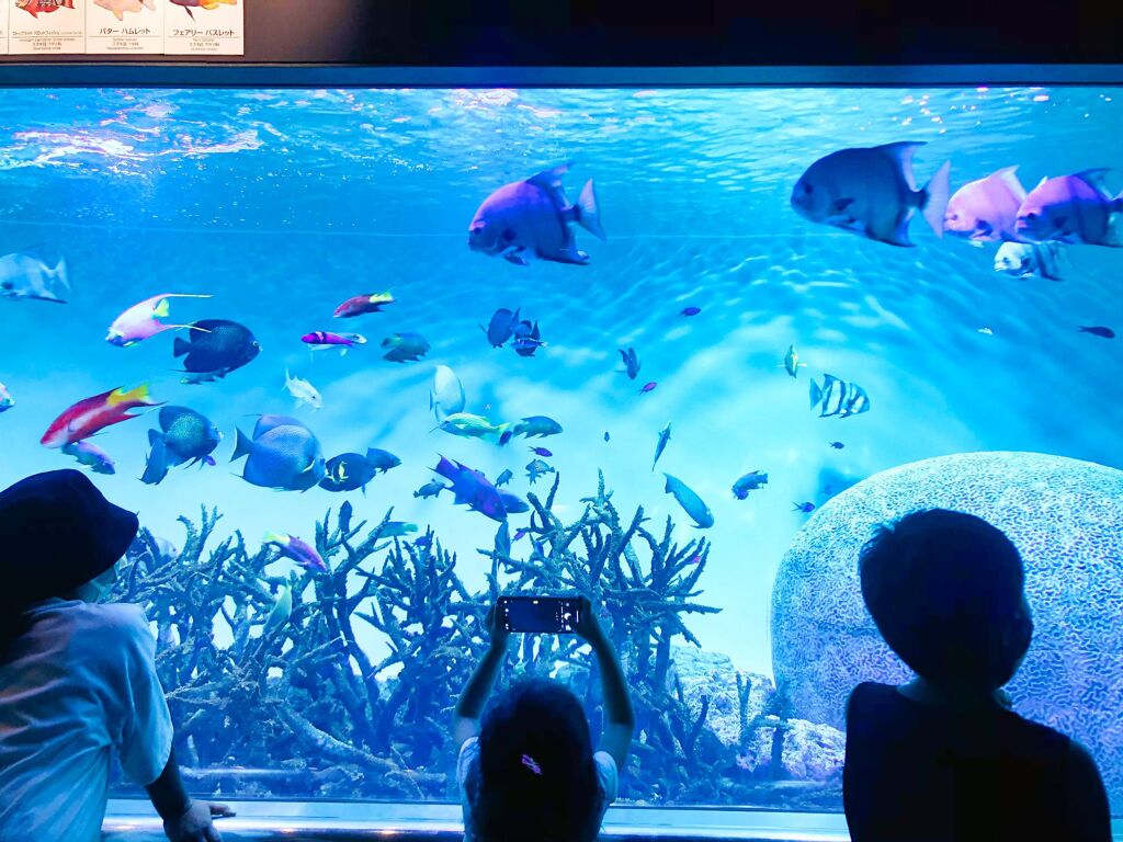 夏の思い出できたかな？③