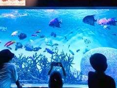 夏の思い出できたかな？③