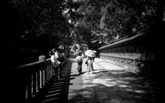 B/W