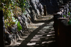 近所の公園にて④